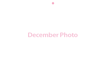 Wall Calendar 2026 - 11x8.5