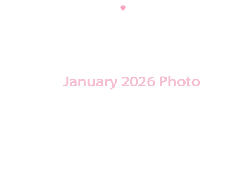 Wall Calendar 2026 - 11x8.5