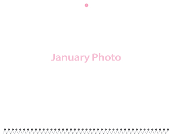 Spiral-Bound Calendar 2026 - 11x8.5