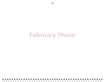 Spiral-Bound Calendar 2026 - 11x8.5