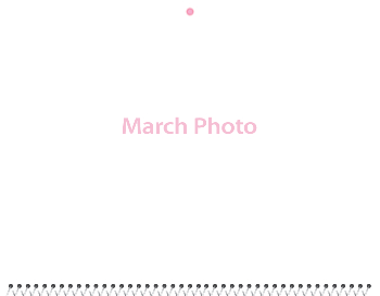 Spiral-Bound Calendar 2026 - 11x8.5