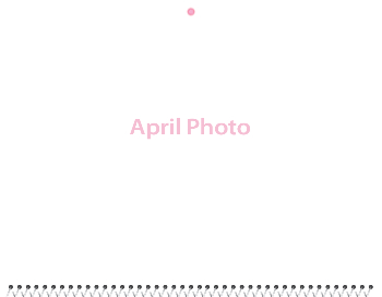 Spiral-Bound Calendar 2026 - 11x8.5