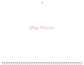 Spiral-Bound Calendar 2026 - 11x8.5