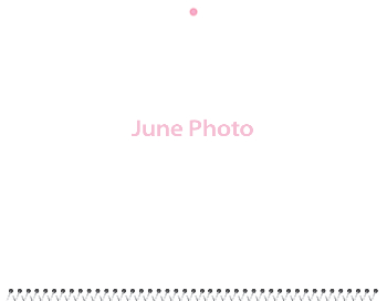 Spiral-Bound Calendar 2026 - 11x8.5