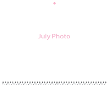 Spiral-Bound Calendar 2026 - 11x8.5