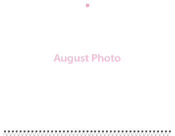 Spiral-Bound Calendar 2026 - 11x8.5