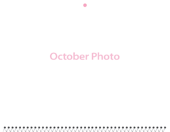 Spiral-Bound Calendar 2026 - 11x8.5