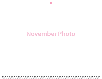 Spiral-Bound Calendar 2026 - 11x8.5