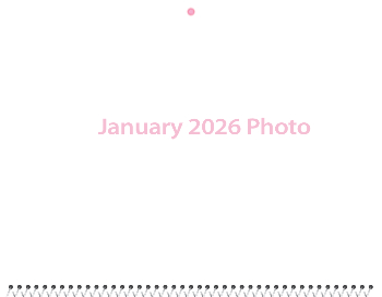 Spiral-Bound Calendar 2026 - 11x8.5