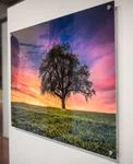 Buy Acrylic Print