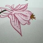 Sample Peel and Stick Wallpaper Panels 4