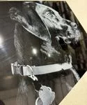 Acrylic Print
