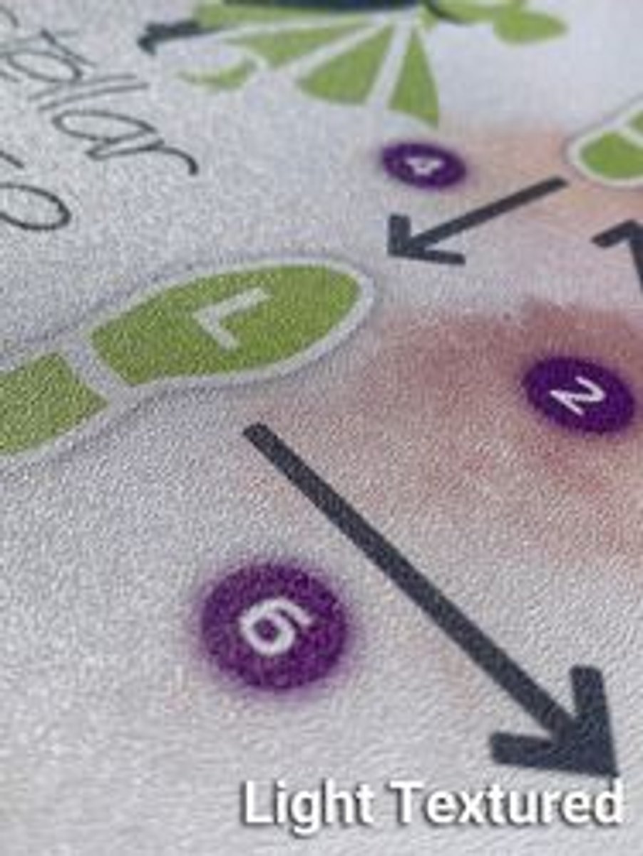 Custom Vinyl Pool Stickers & Decals 8