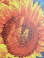 Custom Fabric Printing 2