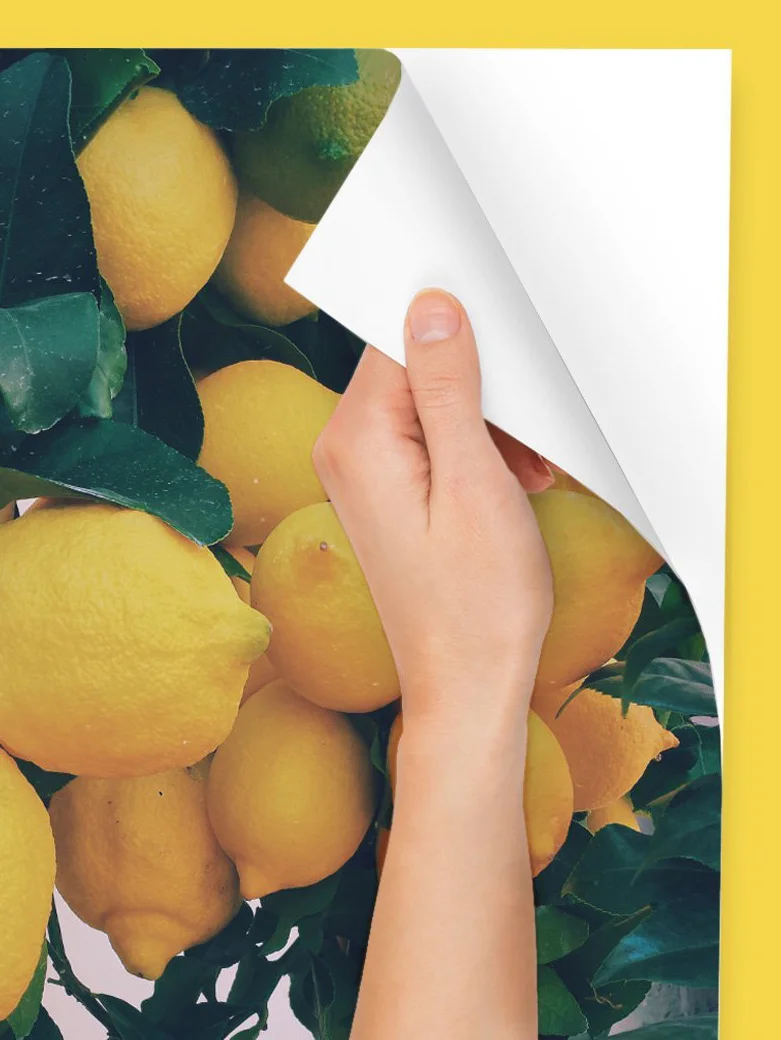 Custom Peel and Stick Poster Prints 1