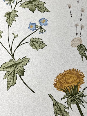 Type II all textures