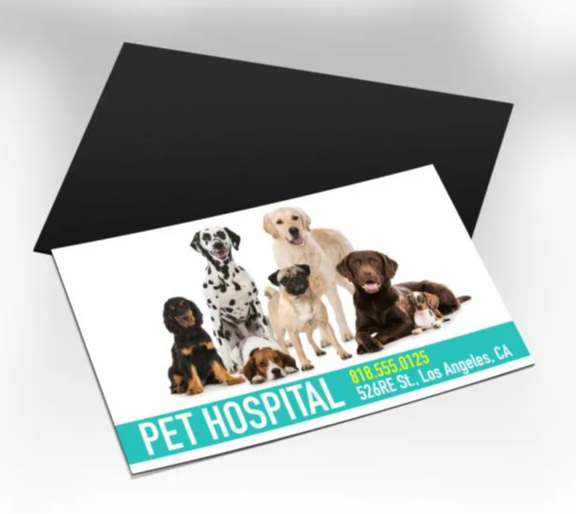 Business Card Magnets