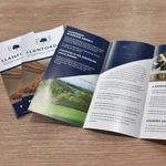 Tri-Fold Brochures 3