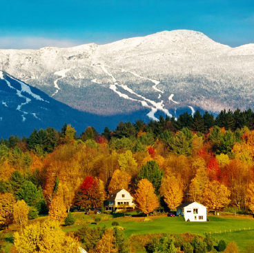 stowe_dest_34_1752261633402.png