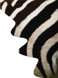 ZooZebra - full color printing 