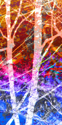 WIN002 - Full Color Printing