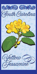 State Flowers - South Carolina