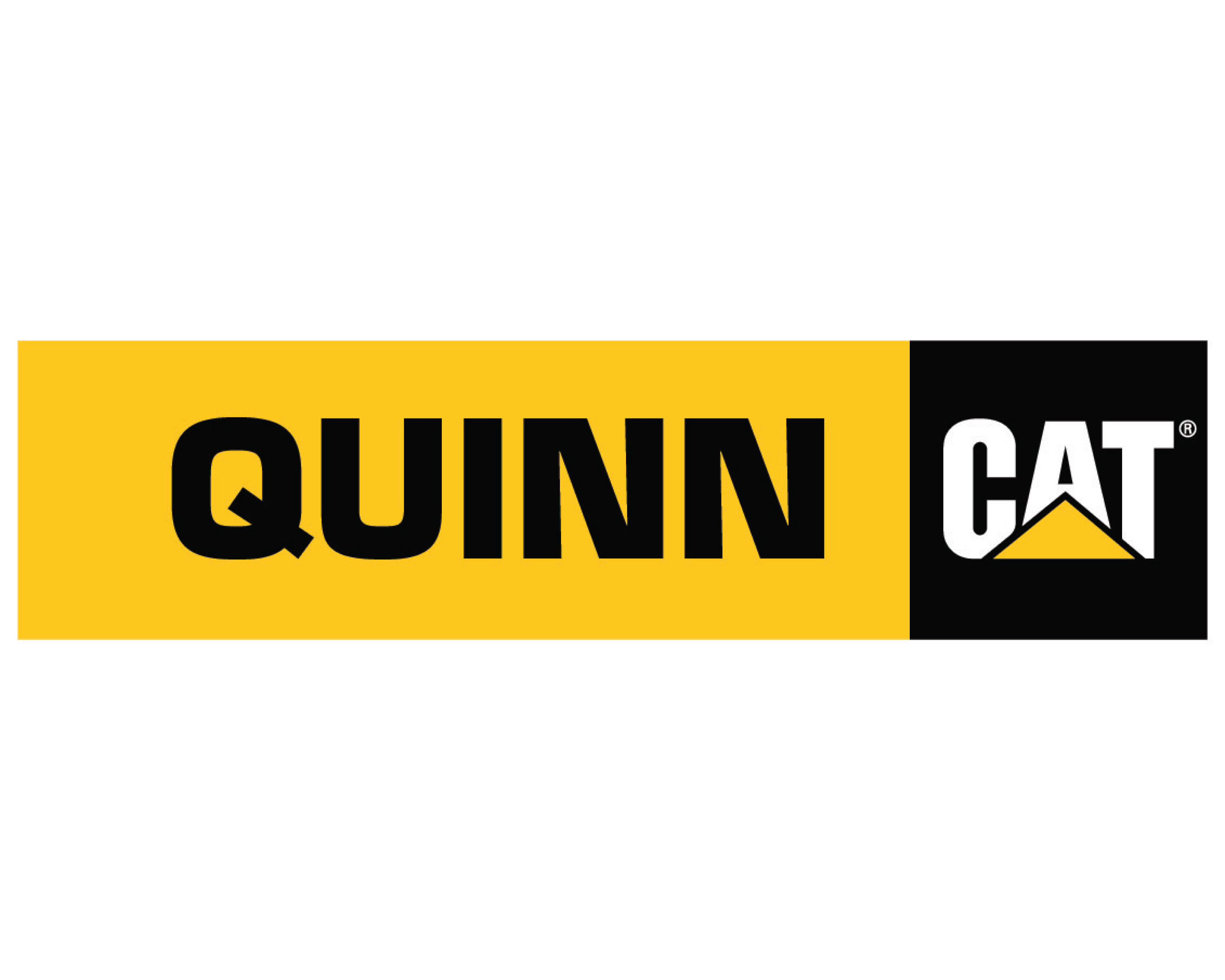 Quinn Cat