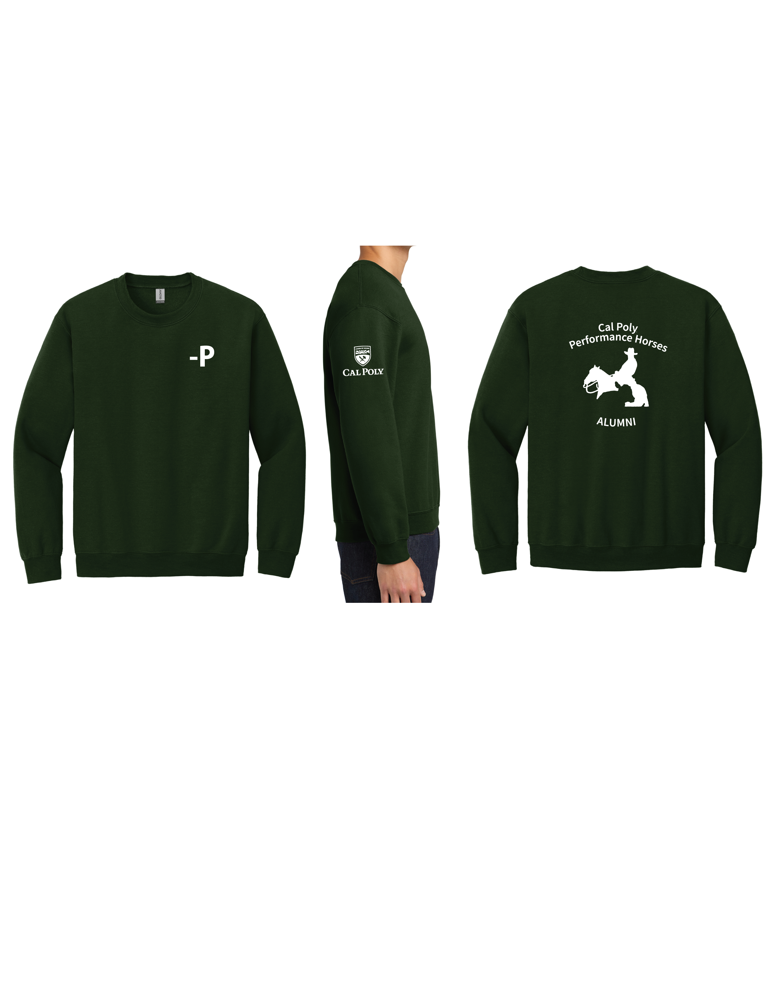https://d2tl9ctlpnidkn.cloudfront.net/prponprin/images/product/Alumni_Crewneck_Alumni_Crewneck_Green.png