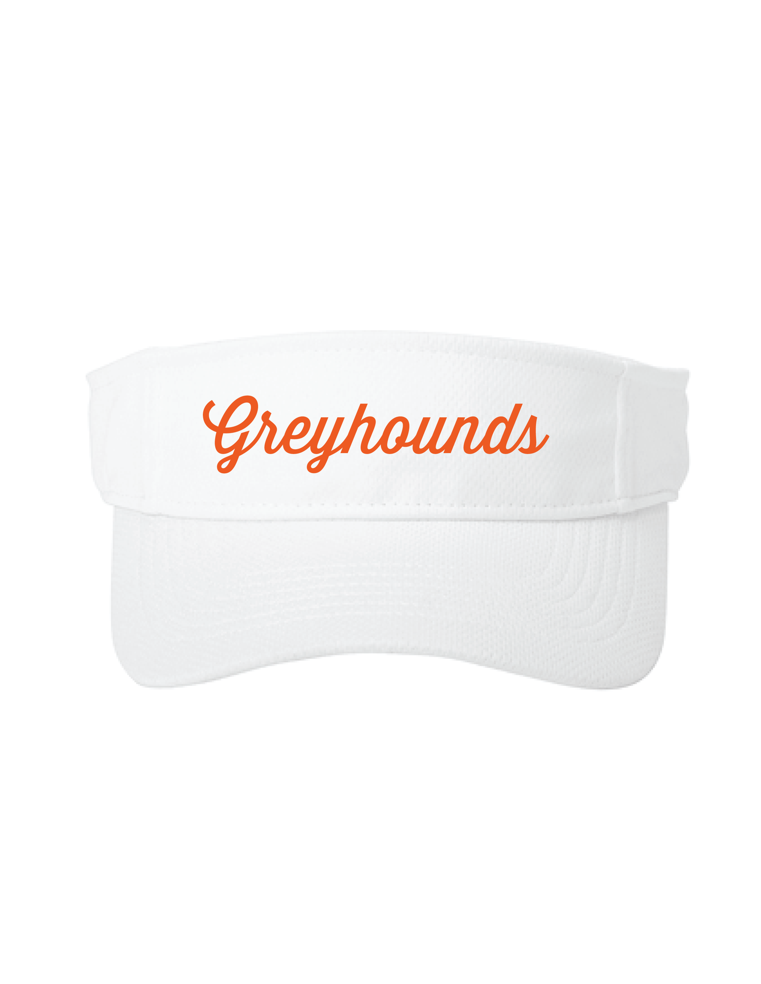 PosiCharge Visor 1