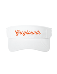PosiCharge Visor 1