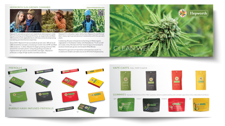 TRIFOLD BROCHURE