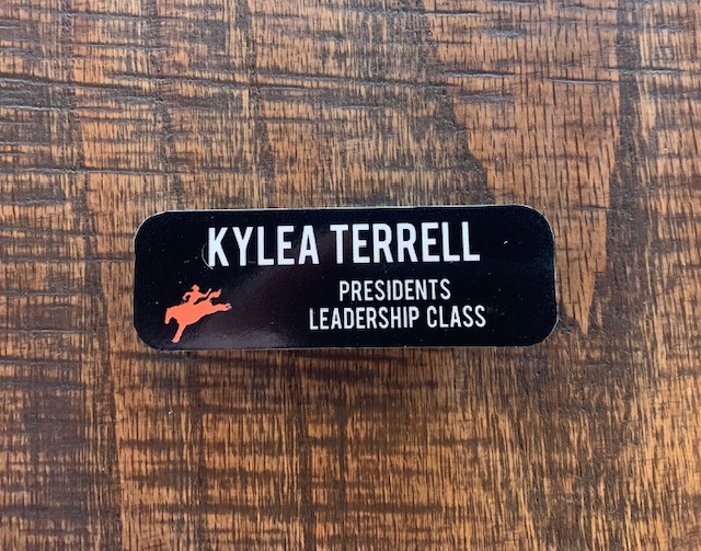 Name Badge - Magnetic