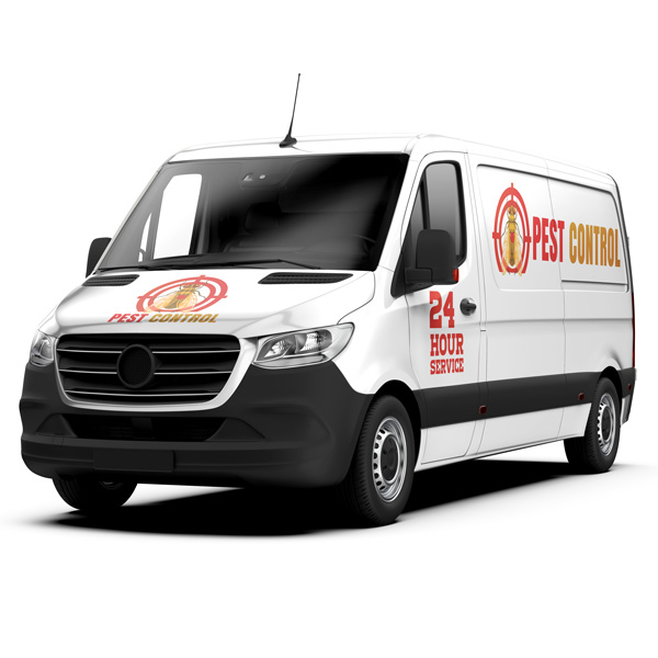 Premium Printed Decals