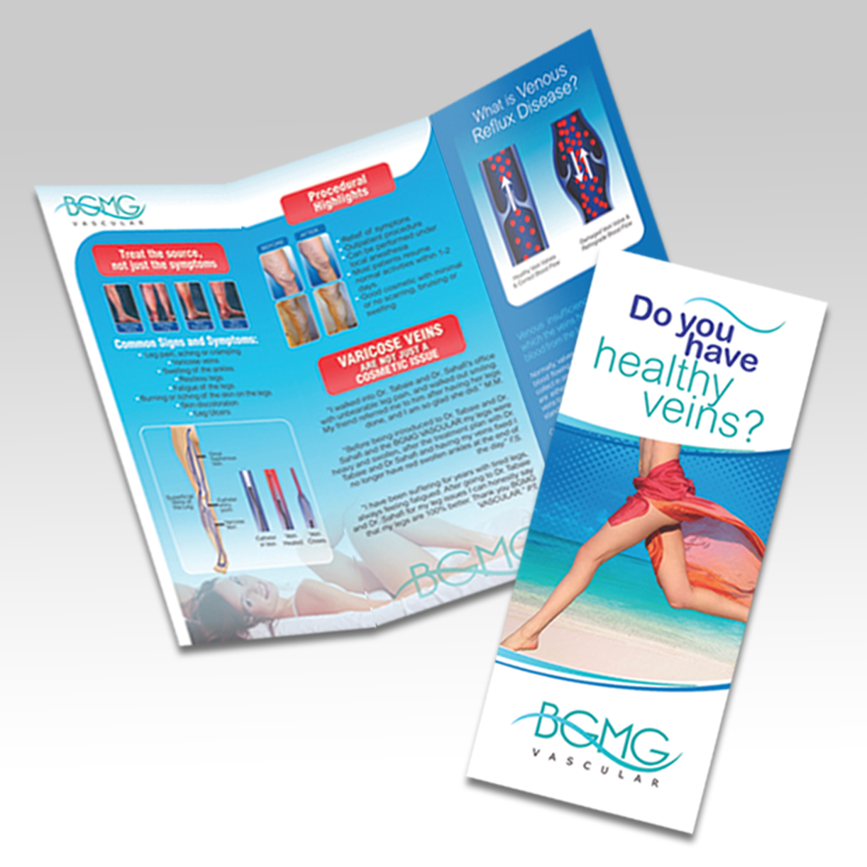 Brochures (Same Day)