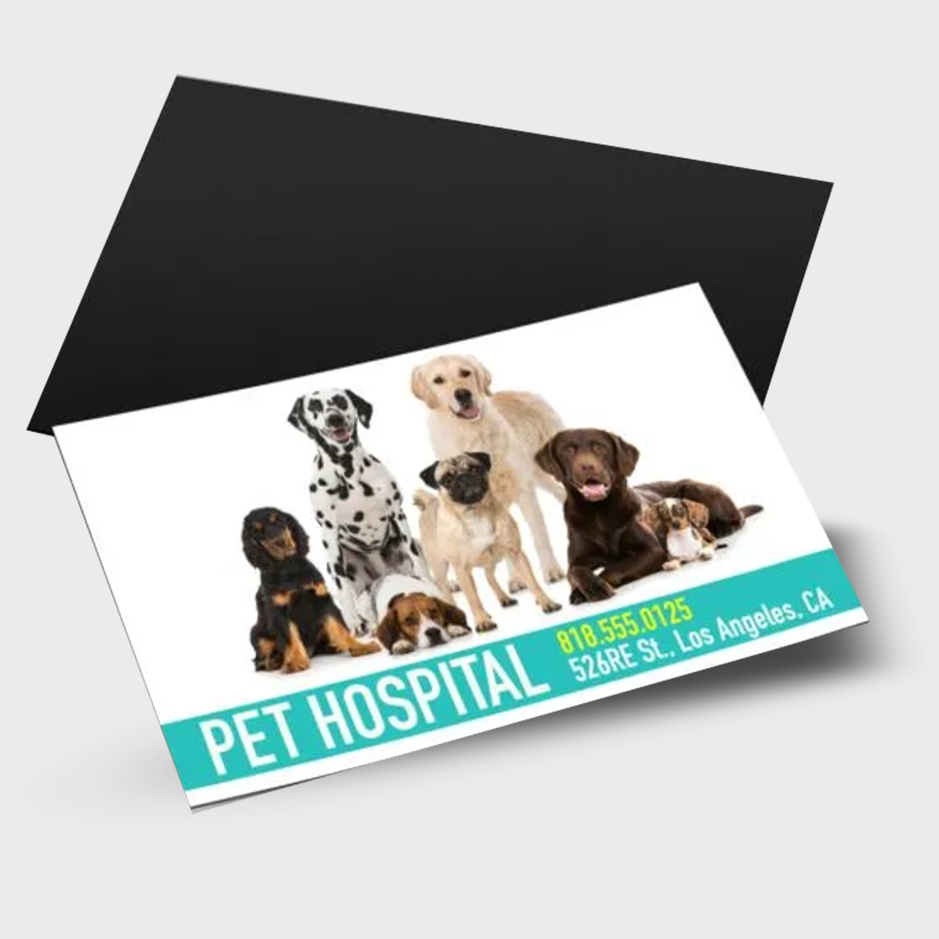 Business Card Magnets