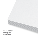 Every Door Direct Mail 4