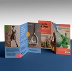 Brochures | Same Day 1