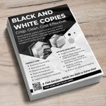 Standard Paper Copies 3