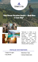 Travel Flyer