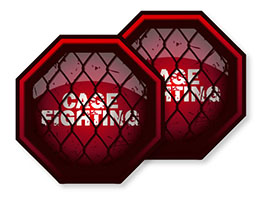 Karate & Martial Arts Car Magnets 