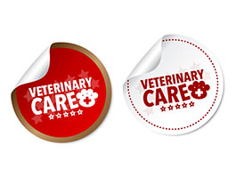 Pet Care Decals 