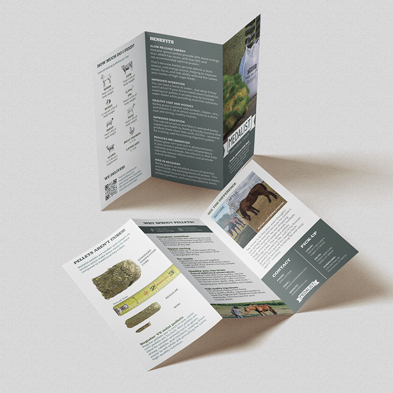 Flyers and handouts