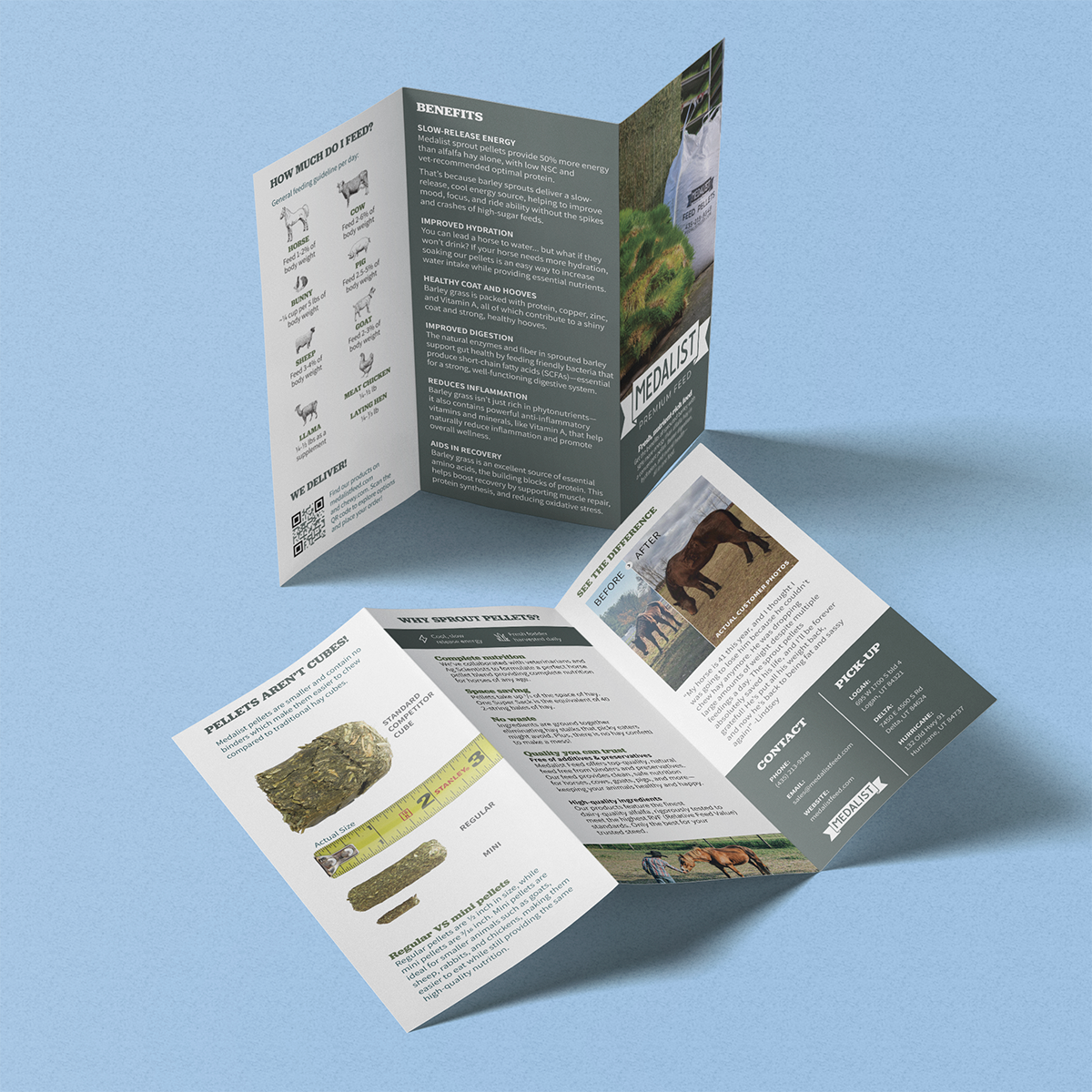 Z Fold Brochure