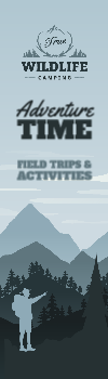 Journey Label