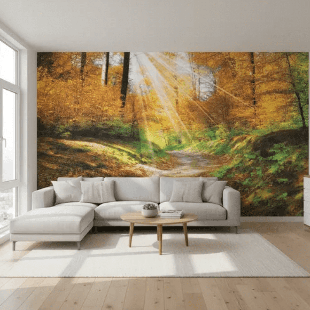 Murales