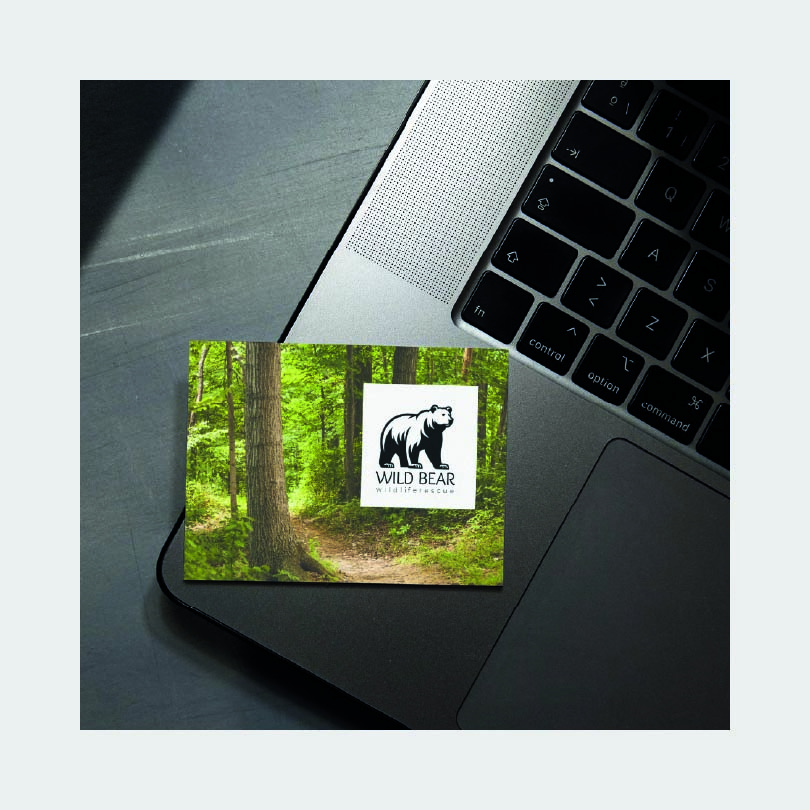 Стандартные визитные карточки