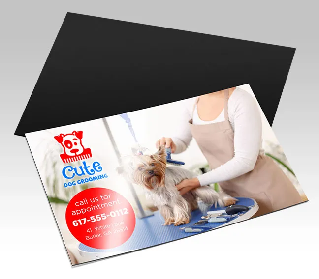 Custom business card magnet printing — full color promotional magnets | TheFlyerLab