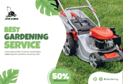 Visual Vibrance Front