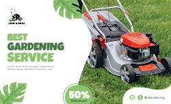 Visual Vibrance Front