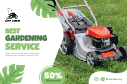 Visual Vibrance Front